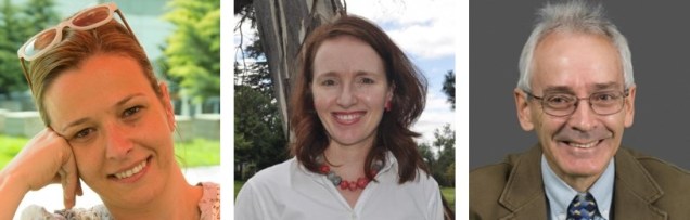 Ercan_Hendricks_Dryzek