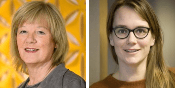 van gestel and Gortenbreg